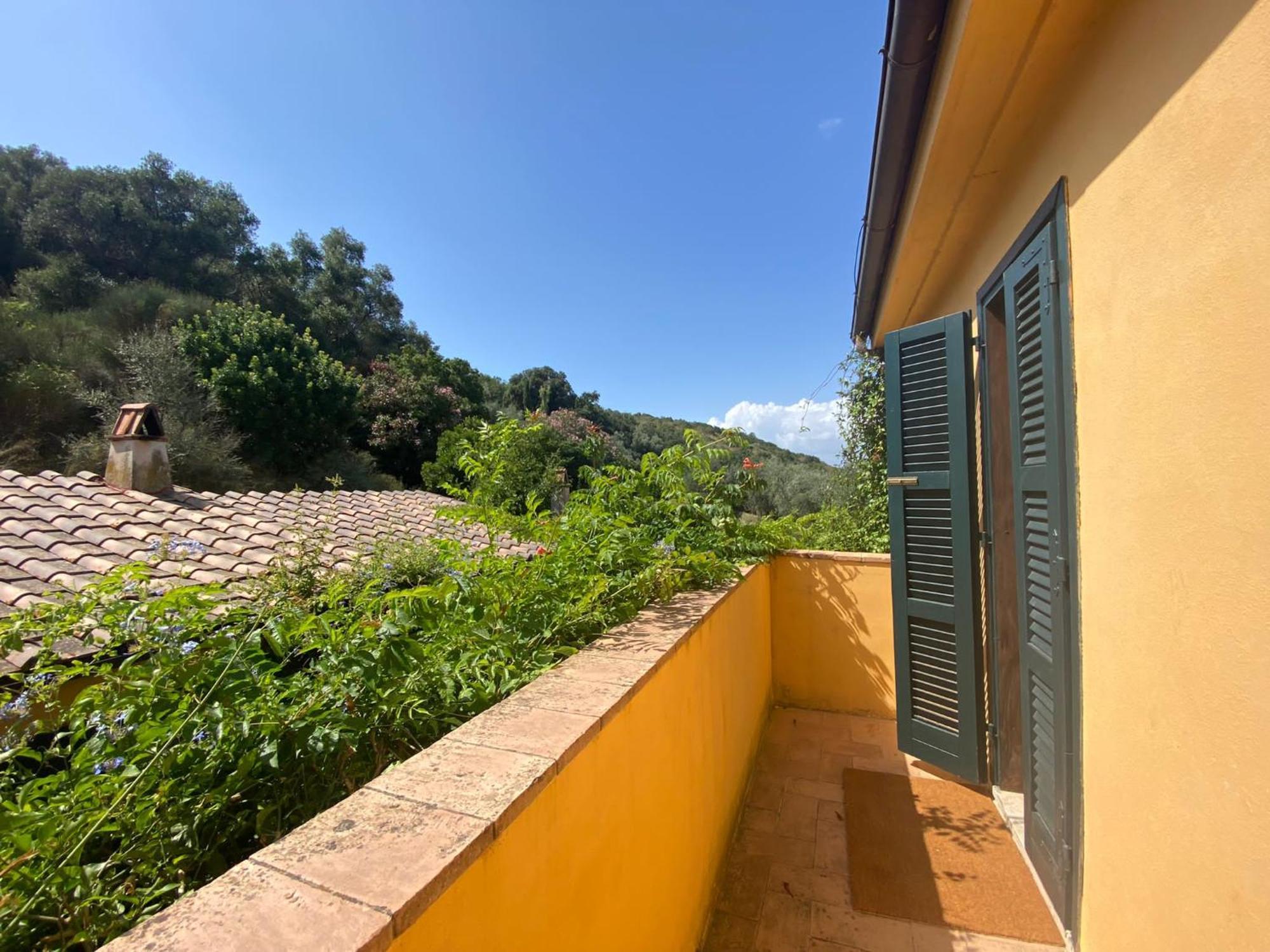 Apartament Il Fontino Capalbio Pescia Fiorentina Zewnętrze zdjęcie