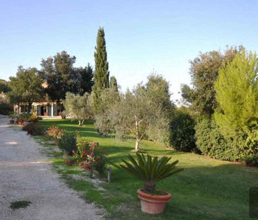 Apartament Il Fontino Capalbio Pescia Fiorentina Zewnętrze zdjęcie